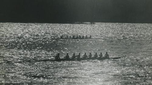 Two crew teams rowing on the water, Trinity College, Hartford, CT [Athletics]